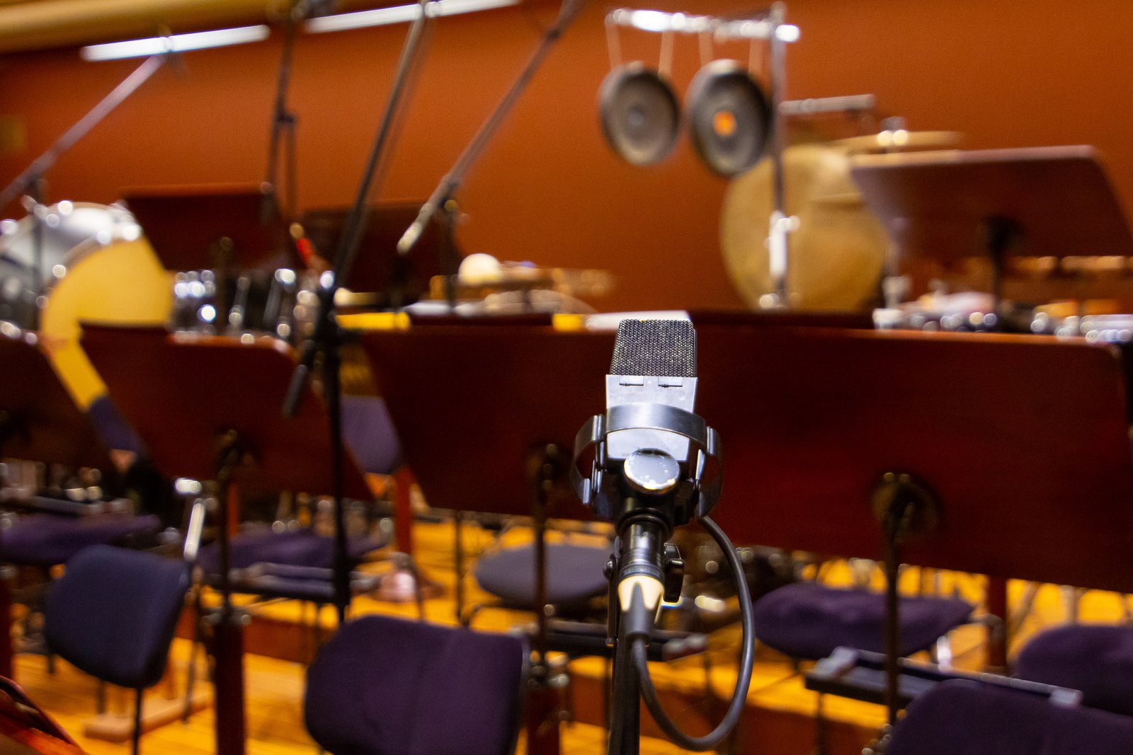 male musician and female singer recording studio 2024 12 05 07 58 57 utc